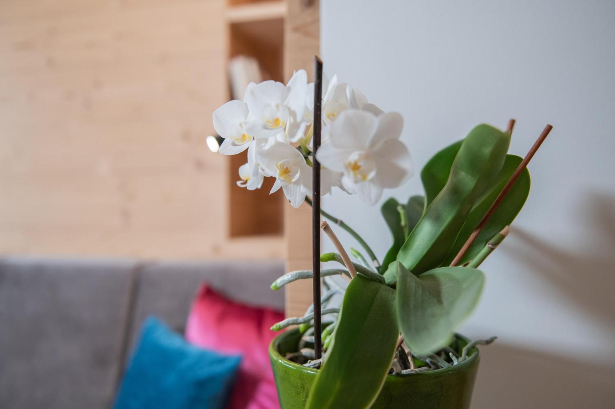 Apartments Corcela Сан Вигилио ди Маребе Екстериор снимка